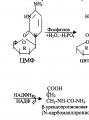 Biosynteza nukleotydów purynowych