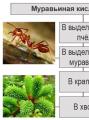 Individualna svojstva mravlje kiseline